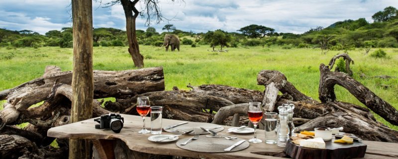 Wait patiently for elephant and other wildlife to come to you while you sip wine in a ol Donyo log-pile hide