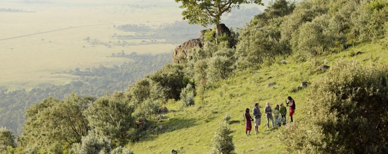The Maasai guides who accompany you on your Masai Mara walking safari know everything there is to know about the Masai Mara.