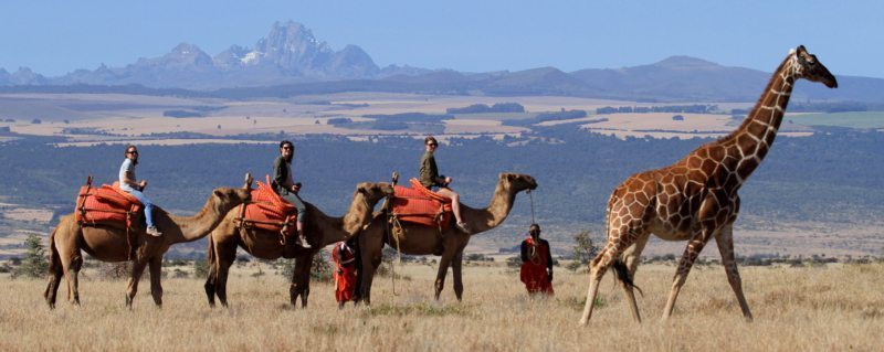 You can wear shorts or long pants on a camel ride in northern Kenya, as you prefer.