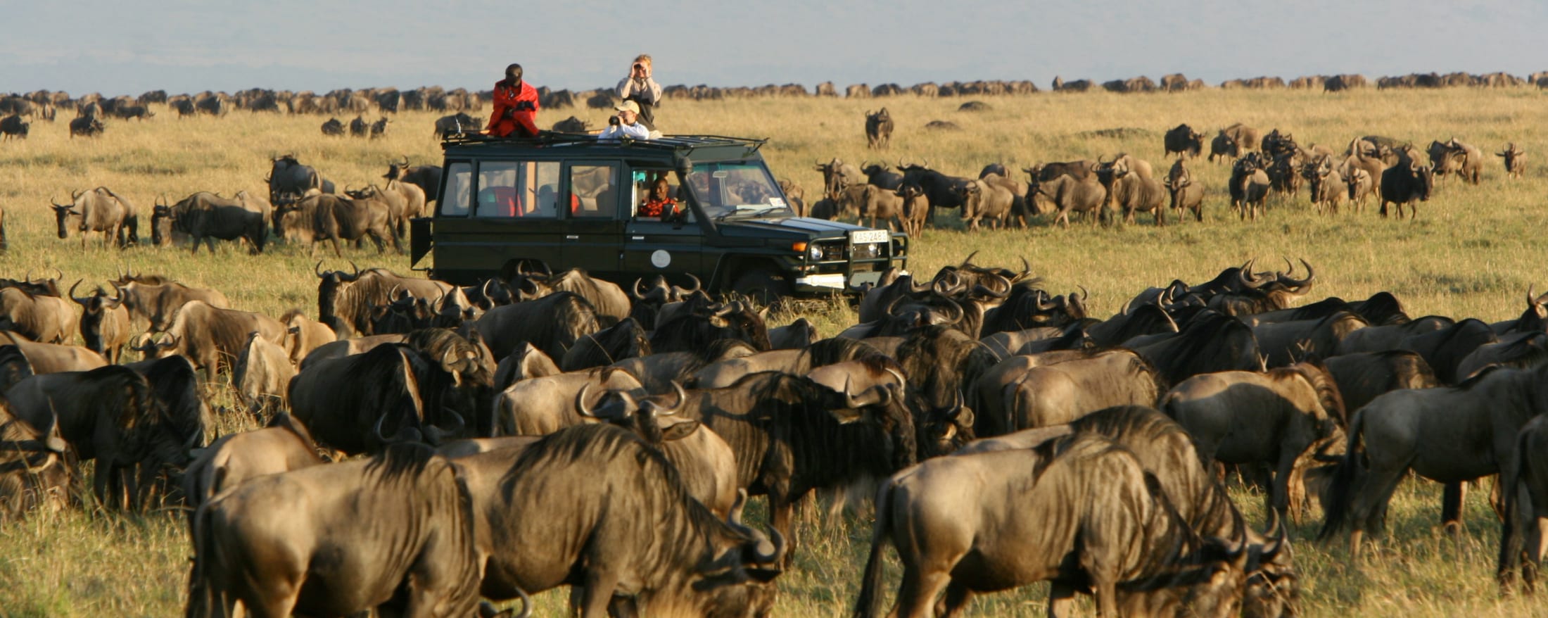 Masai Mara Safari Best Kenya Safari Experiences Art Of Safari