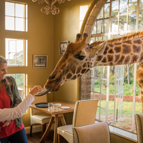 Breakfast With Giraffe | Best Kenya Safari Experiences | Art Of Safari