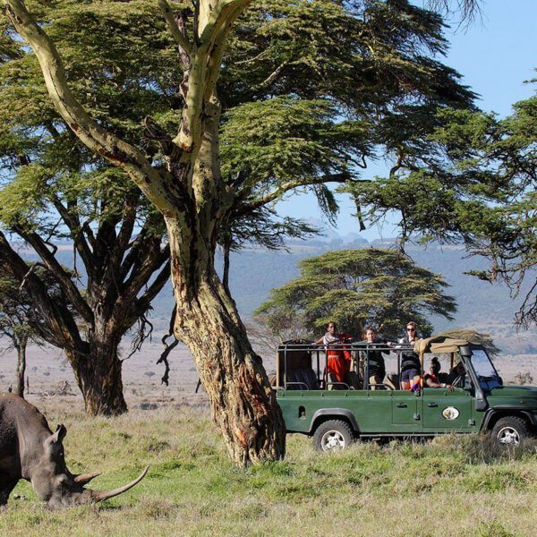 All guests get private safari vehicles at Sirikoi, so you can linger at rhino and other game viewings as long as you choose.