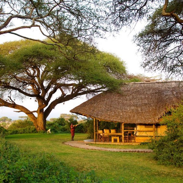 Tortilis Camp Amboseli is named after the umbrella-like tortilis acacia trees that offer shade from the African sun. © Elewana Collection