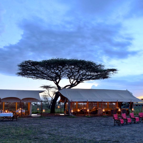 Before dinner, warm yourself by the campfire at Serengeti Under Canvas.