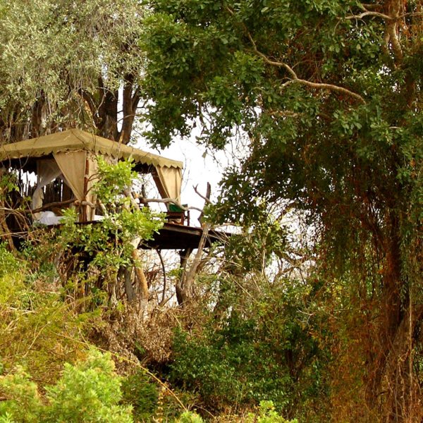 Sleeping in a Selous treehouse will add an unforgettable dimension to your luxury Tanzanian safari.