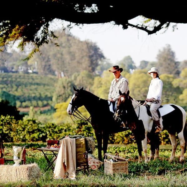 You can even go horseriding at The Manor at Ngorongoro. © Elewana Collection