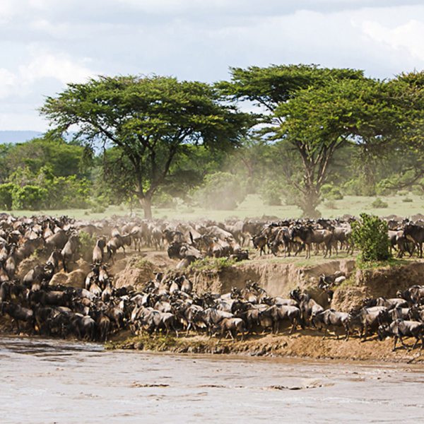 LEGENDARY SERENGETI MOBILE CAMP - Updated 2023 Campground Reviews  (Serengeti National Park, Tanzania)