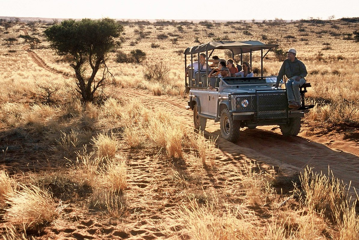 Safari In South Africa S Kalahari Desert Experience