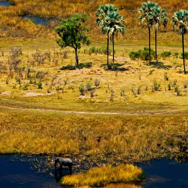 Zarafa Camp is situated in northern Botswana.
