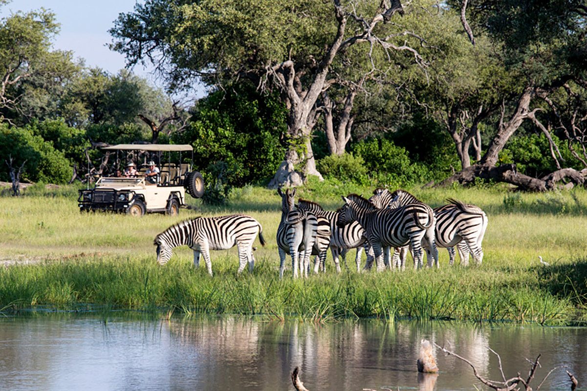 botswana safari forum