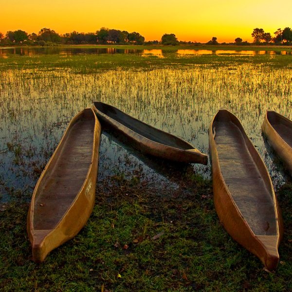 A mokoro lets you explore the waterways of the Okavango Delta.