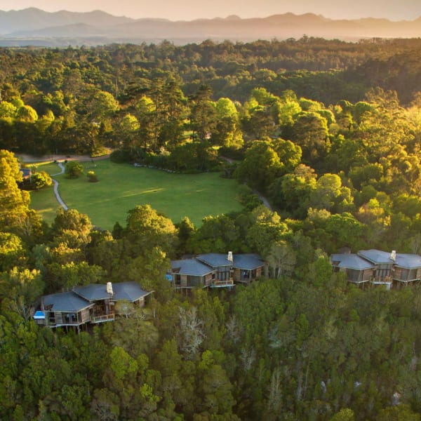 Tsala Treetop Lodge offers 10 treetop suites and six two-bedroomed villas. © Hunter Hotels