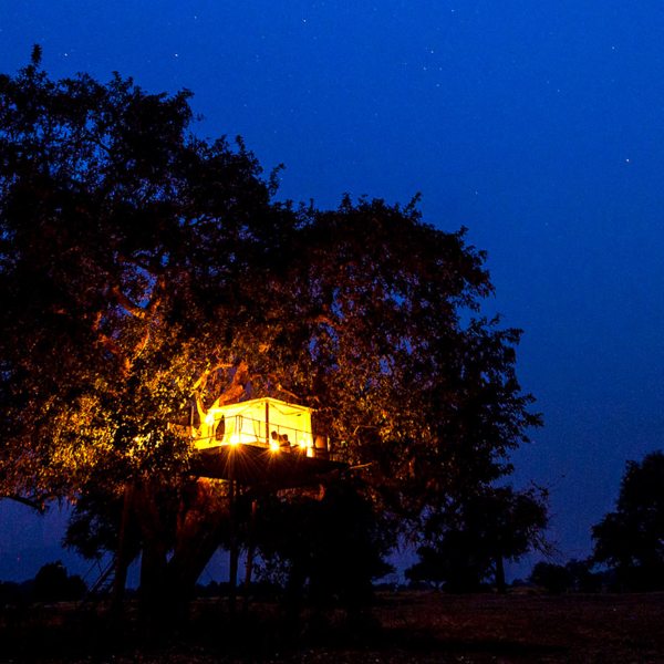 The sleepout deck at Ruckomechi Camp in Mana Pools is tucked up in a tree.