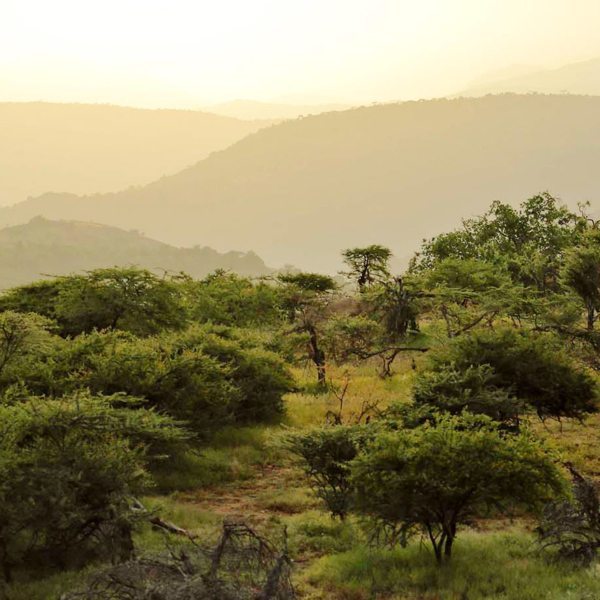 A Laikipia safari offers a truly remote safari experience.