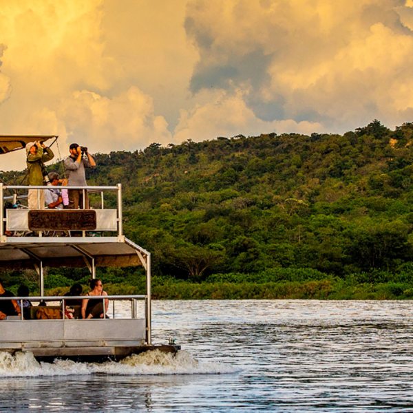 Enjoy a Nile River excursion to Murchison Falls from Baker’s Lodge.