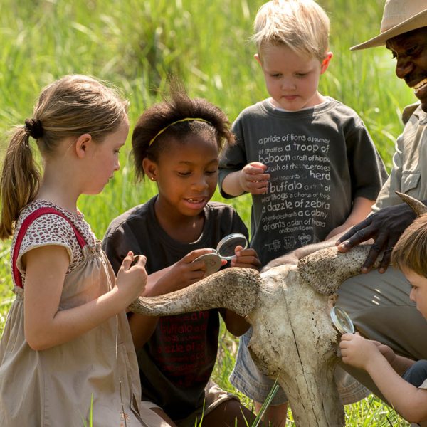 The kids will learn loads when staying in the family suite at Phinda Mountain Lodge.