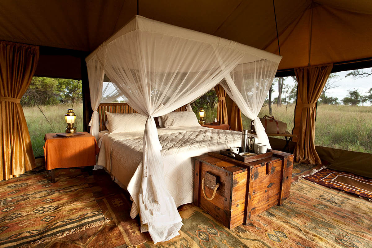 camping safari in tanzania