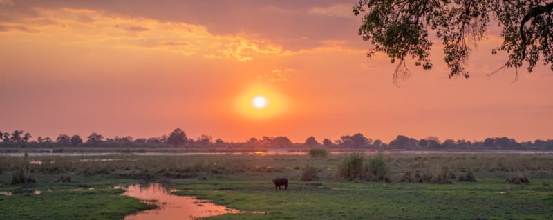 A luxury Caprivi safari will change your perceptions about Namibia.