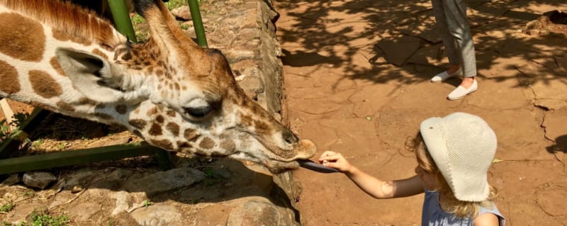 Your kids will love the Giraffe Centre. © Art of Safari