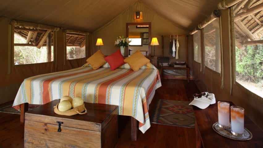 Tortilis Camp