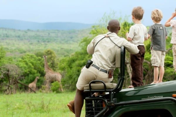 south african safari movie